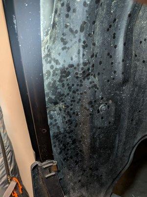 DW Automotive Details