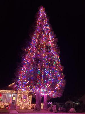 Jennifer Terrill - Foundation Real Estate