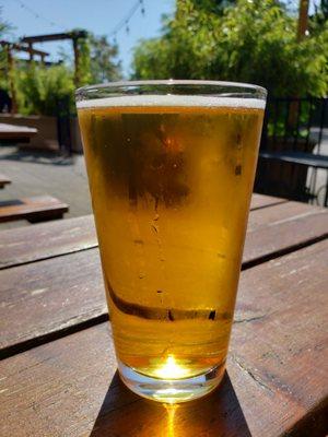 A lovely lager on a summer day.