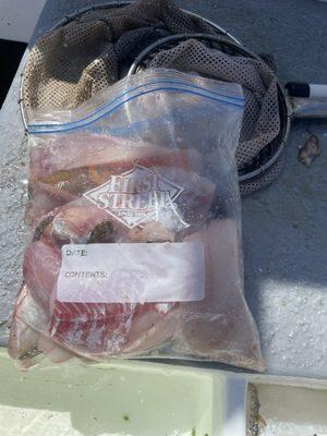 My daily catch today. Sand dabs and rock fish