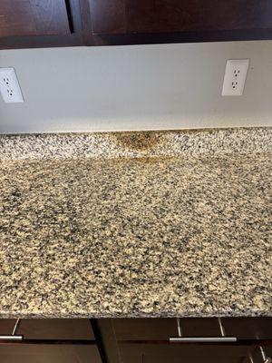 Providence at Old Meridian