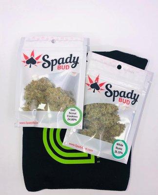 The Green Door Seattle