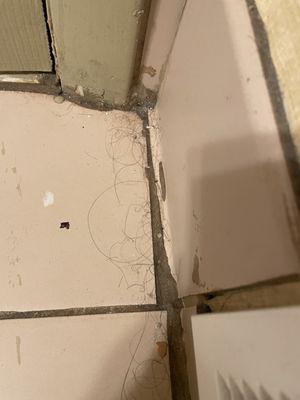 This was the bathroom floor in a clean room.