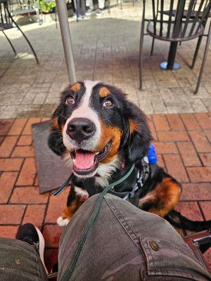 Adventures Of Buddha