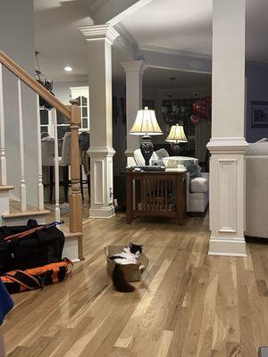 Animal Care Hospital At Bold Springs