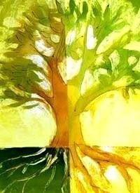 Greenwood Contracting