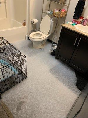 Holland Properties, Inc.