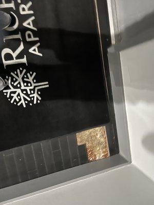 Delante Luxury Apartment Homes