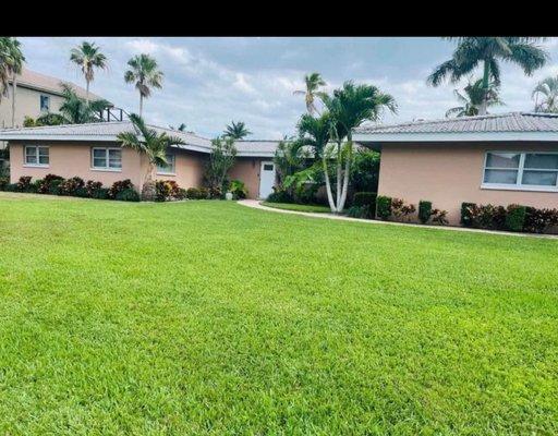 Beckfords Yard & Tree