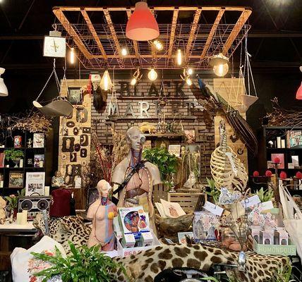 Artifacts and Artichokes