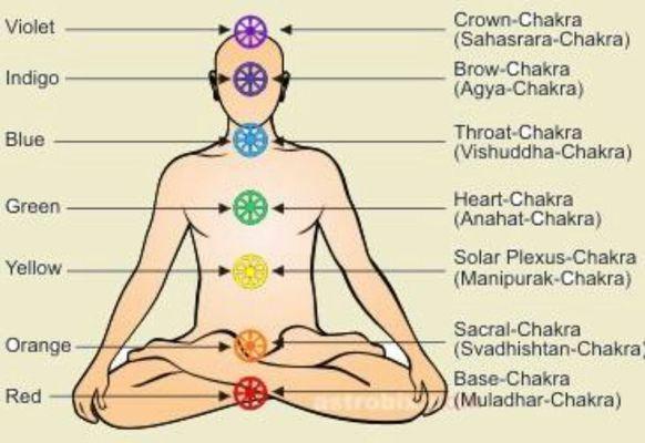 EARTH MEDICINE