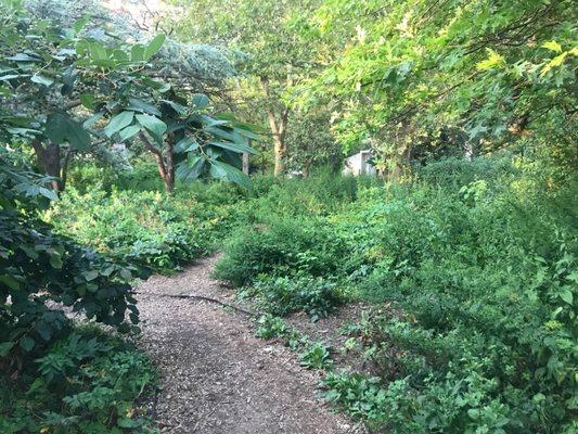 Labyrinth of Contemplation