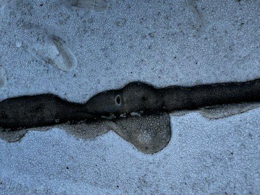 Reed’s Mobile RV Service LLC