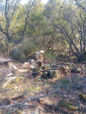 Mac's Mobile Wood Splitting and Landscape