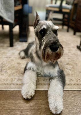 Looks like a million bucks!