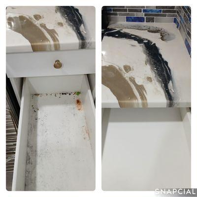 PORTILLO SERVICE LLC