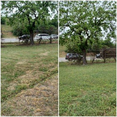 Longoria Lawn & Landscaping