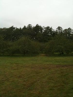 Biscay Orchards