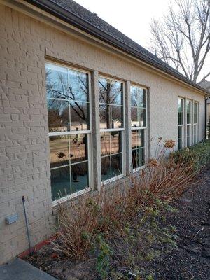 We Clean Windows and Luv It