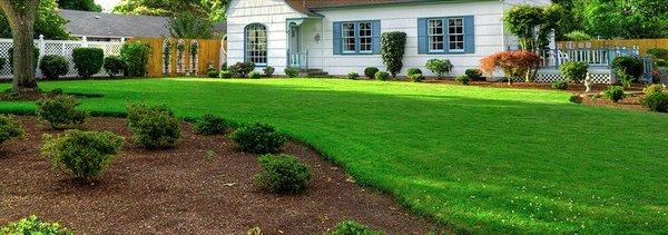 Precision Lawn Maintenance