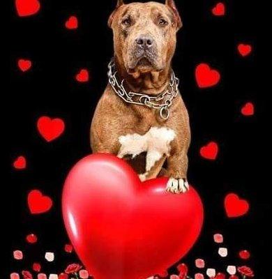 Youth Of America Community Resource