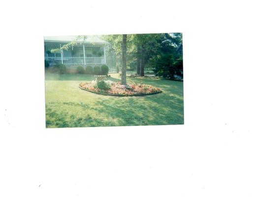 Beautiful summer lawn