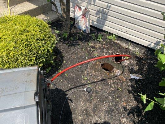 Main Drain wall to wall descaling