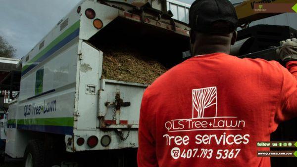 QLS Lawn Care & Tree Removal