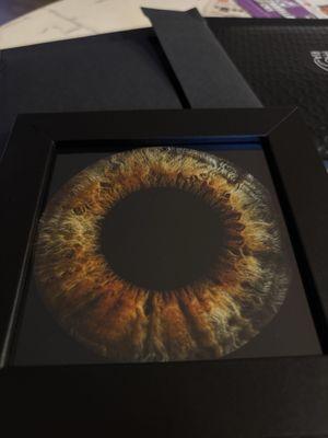 EYEPHORIA Iris Photography