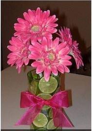 Budget Wedding & Party Rental