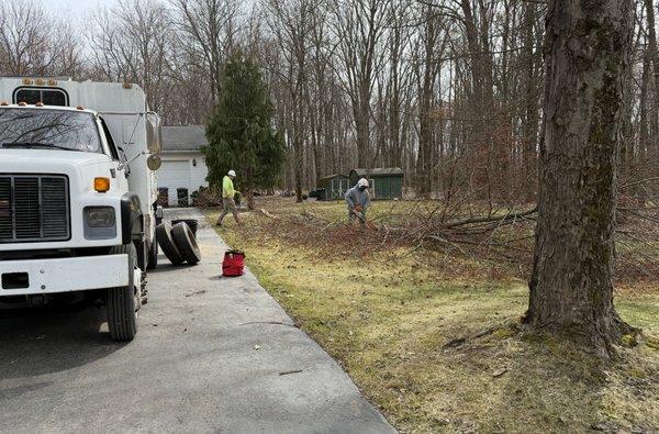 Lakeshore Tree Experts