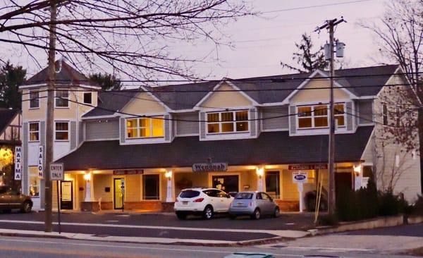 Ananda Yoga + Wellness