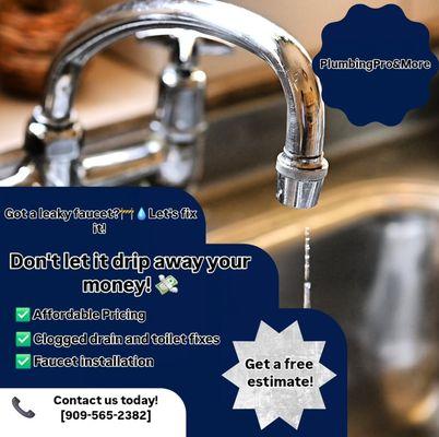 Plumbing Pro and More