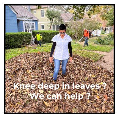 Good Neighbor Lawn & Landscaping