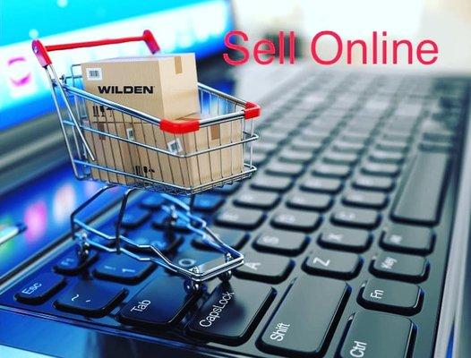 22nd Century Web Services