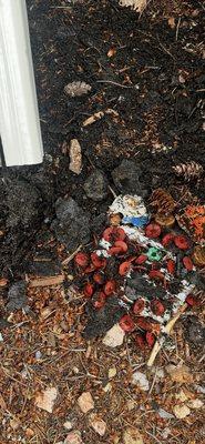 Roofing pieces, nails and plastic roofing packaging which caused rain water damage to enter between the roof and the soffit.