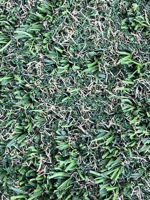 Meted down as you can see in less than twenty fours and not even 80 today in socal.