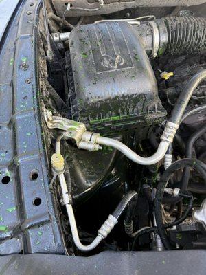 Jalisco Super Mufflers