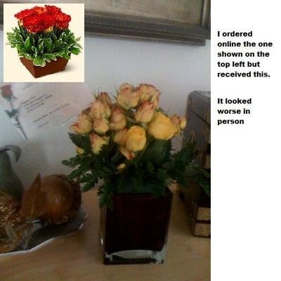 i can put together a better arrangement myself.