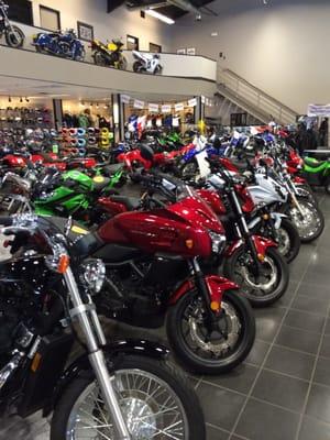 Champion Harley-Davidson Authorized Dealer