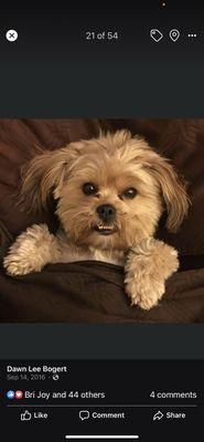 Flower Mound Veterinary Emergency & Specialty Center