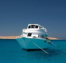 All Shore Fiberglass