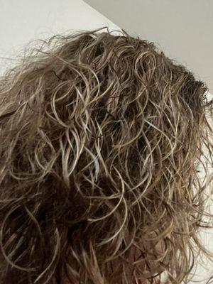 All over color.  With top blonde highlights.