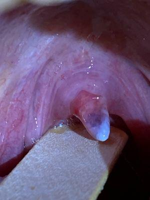 Anthony Williams, MD