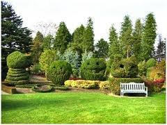 Stafford Tree Service & Stump Grinding