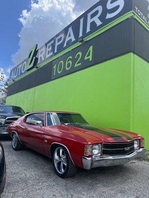 We Bring them back to life!