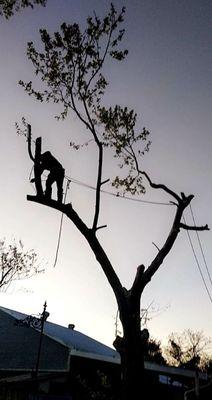 Reel Contractors and Tree Service