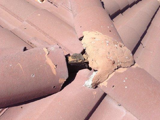 King Home Inspections