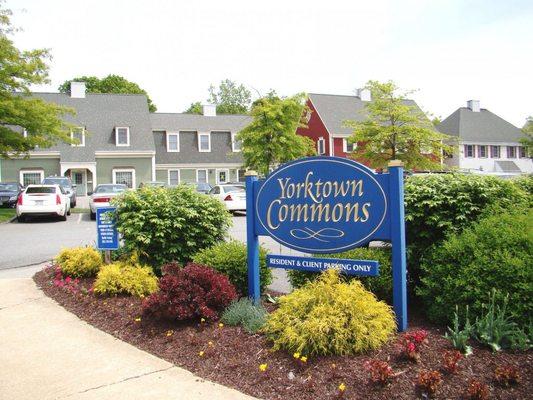 Yorktown Oral & Maxillofacial Surgery