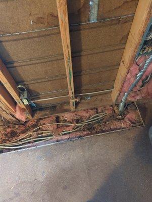 Steadfast Inspections